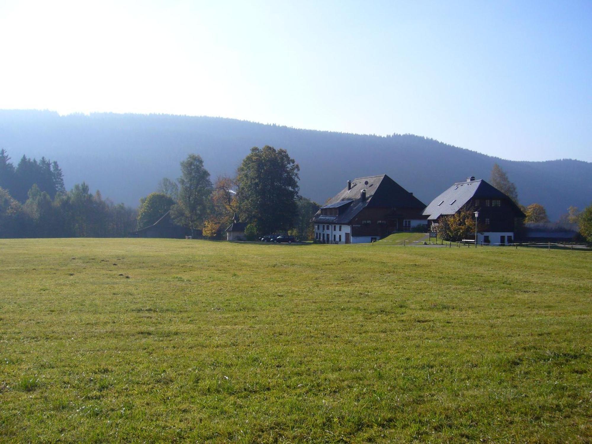 Hermeshof Und Biohaus Titisee-Neustadt Exteriér fotografie