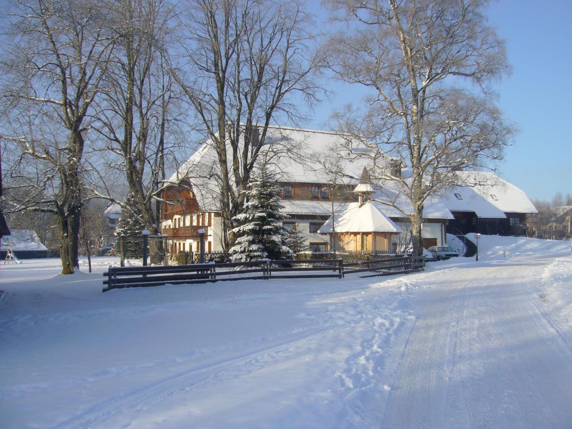 Hermeshof Und Biohaus Titisee-Neustadt Exteriér fotografie